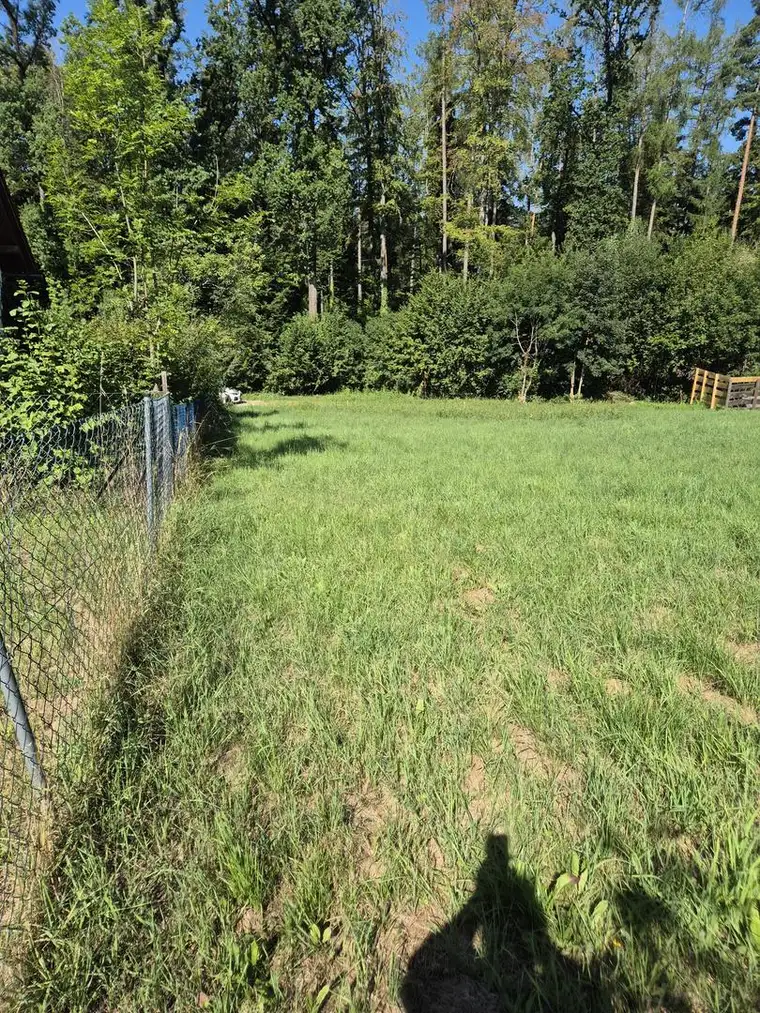 Traumhaftes Grundstück in sonniger Waldrandlage