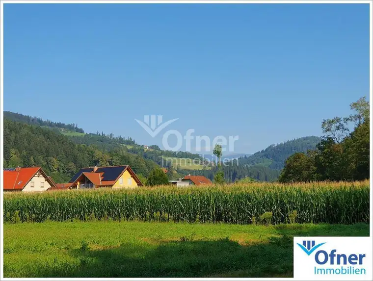 Gut bearbeitbares Ackergrundstück in Bärnbach