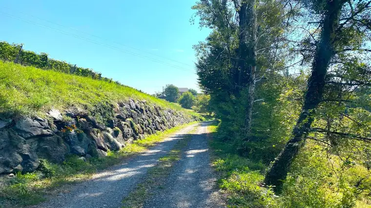 SCHEIBENGRUND an der Weinstraße