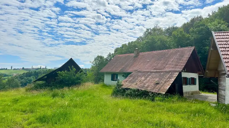Landwirtschaft inmitten der suedsteirischen Weinberge