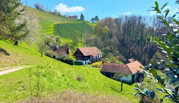 Paradies in der Südsteiermark