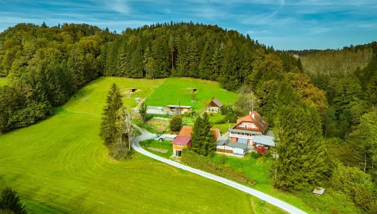 Allein- und Ruhelage