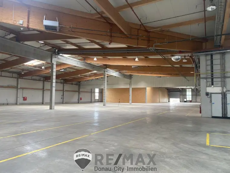 "5.500 m² Halle für Industrie und Gewerbe"