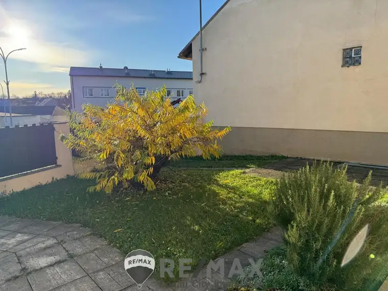 "Mini Garten sucht neue liebevolle Pfleger"