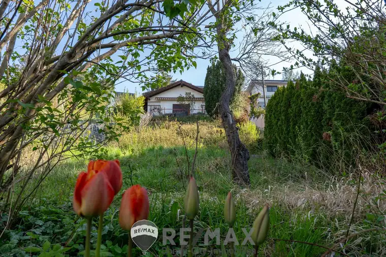 „Besitzen statt träumen: Ihr Gartenparadies am Hackenberg“
