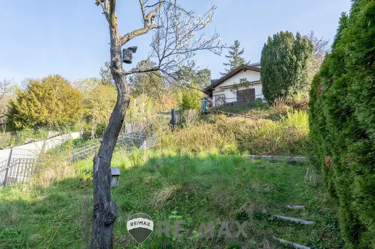 „Besitzen statt träumen: Ihr Gartenparadies am Hackenberg“