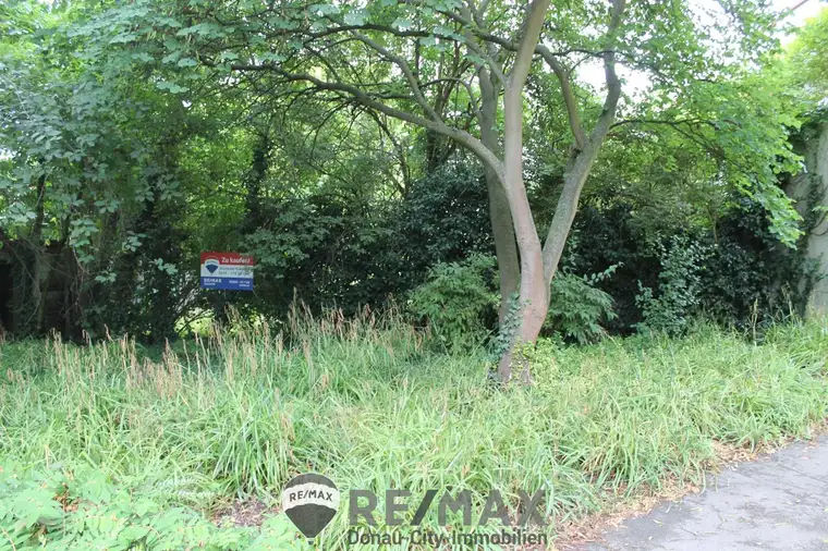 "!!!Baugrund visavis vom Stadtpark!!!"