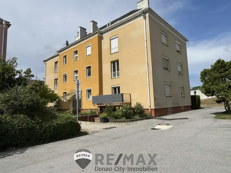 "Single mit Balkon sucht Lieblingsmensch!"