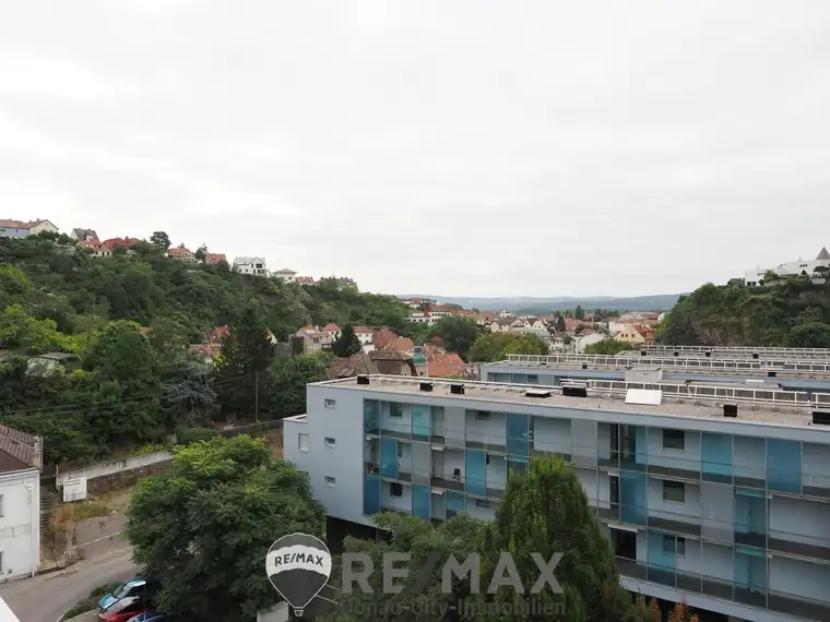 "Logenplatz auf Krems"