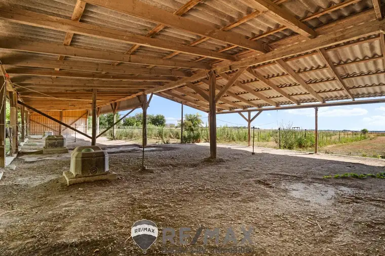 "Großzügiges Grundstück mit Pferdehof und sanierungsbedürftigem Haus – nur Minuten von Wien entfernt"