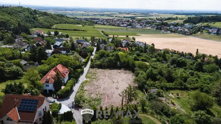 "südseitig am Veigelberg!"