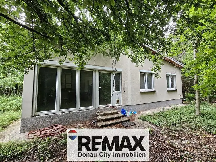 "SANIERUNGSPROJEKT MIT VIEL POTENZIAL | ca. 1.085 m² Grundstücksfläche | Ruhelage in Mitterndorf an der Fischa"