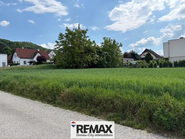 "Sonnengrundstück in der Sackgasse"