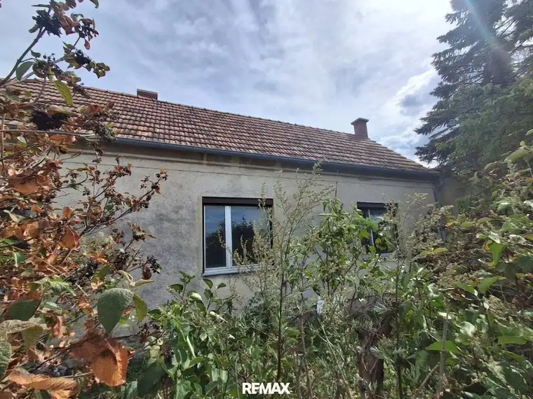 ,,Kleines Haus und großer Obstgarten in Hornstein!"