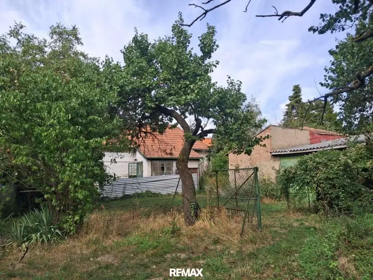 Mach mich groß - Projekt "Haus und Garten in Hornstein!"