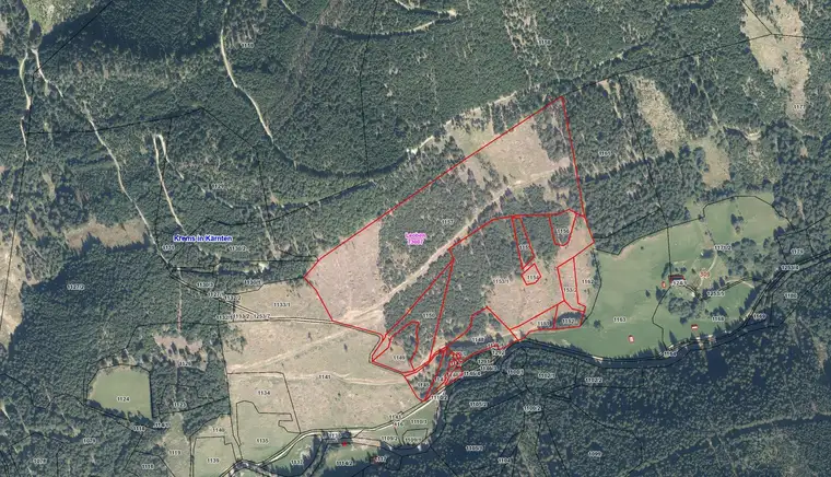 Waldgrundstücke mit 12,6 Hektar im Leobengraben (Bezirk Spittal an der Drau)