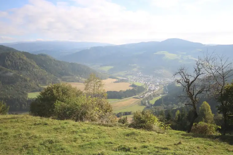 Land- und Forstwirtschaft mit Gebäude in Pirkach bei Brückl (Bezirk St. Veit an der Glan)