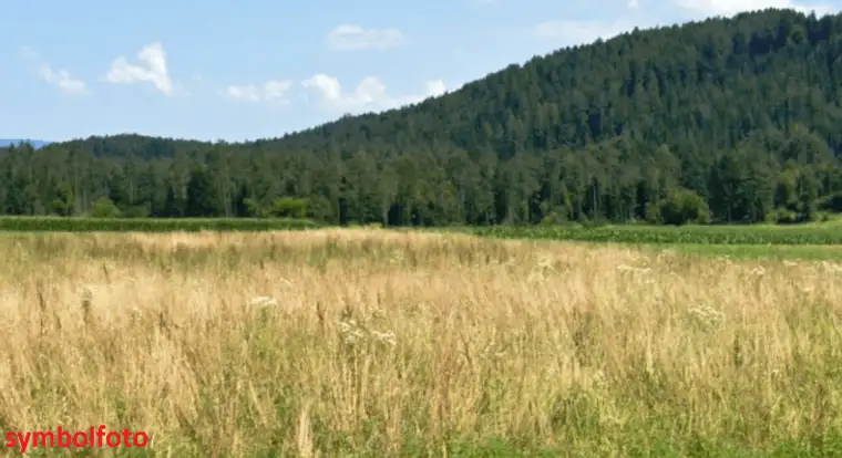 1,8 ha Bauland Potential in Jaunstein - Globasnitz