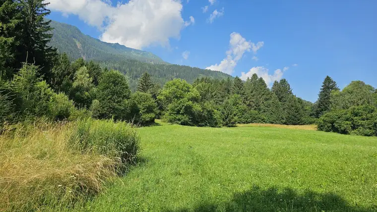 2 Grundstücke in Penk - Wohnen und Landwirtschaft vereinen. Idyllische Lage in Penk.