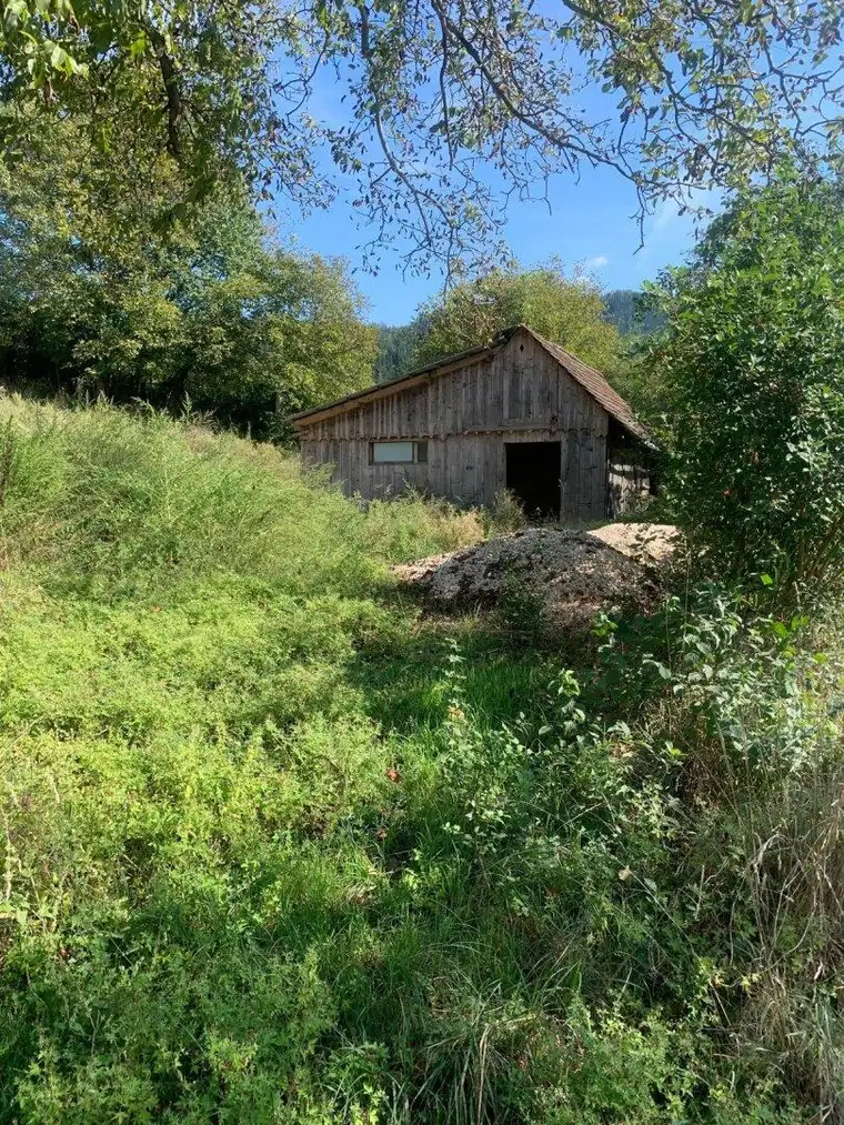 St Veit / St Donat : 2,7 Ha Land- und Forstw. -Grundstück mit Widmungpotenzial , zzt Pferde Weide mit Stall &amp; Quelle, in traumhafter Lage in Kärnten - für 299.000,00 € zu haben!