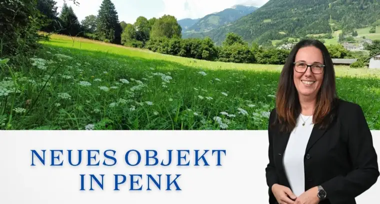 Aufgepasst 3 Grundstücke: Traumhafte Grundstücke - 8.740 m² zum Verwirklichen Ihrer Träume in Penk.!