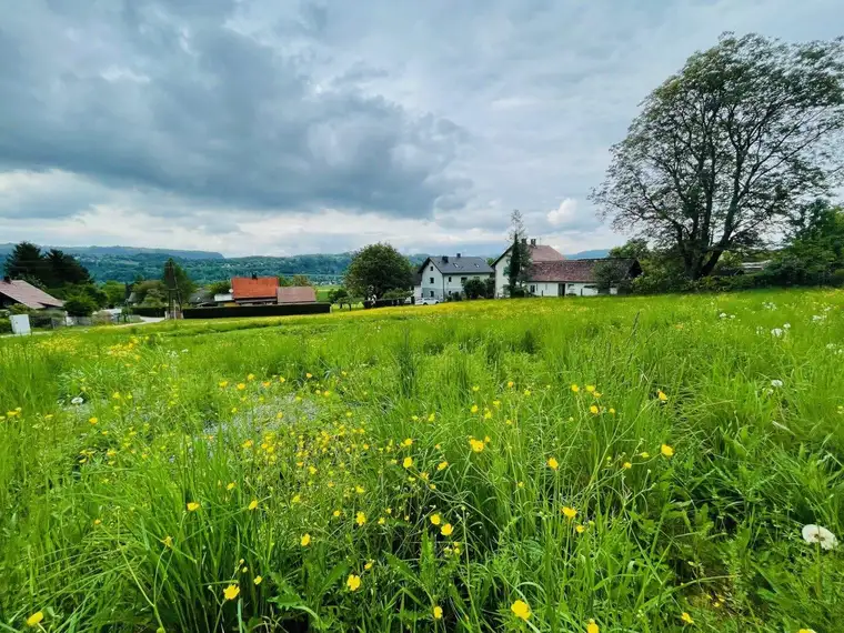 Ruhiges Landleben - Waldrand - Nähe Ferlach und Klagenfurt!