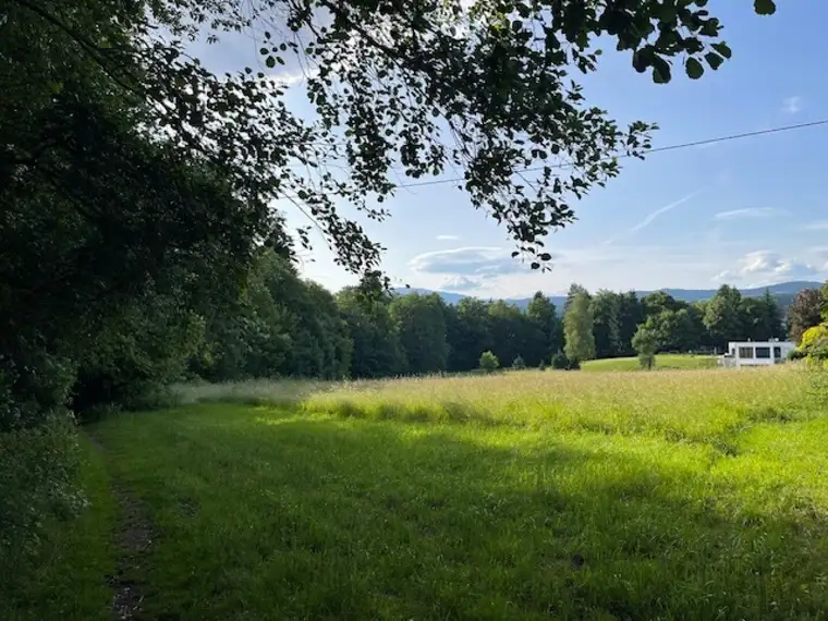 Großzügiges ruhiges Grundstück in See- und Zentrumsnähe!