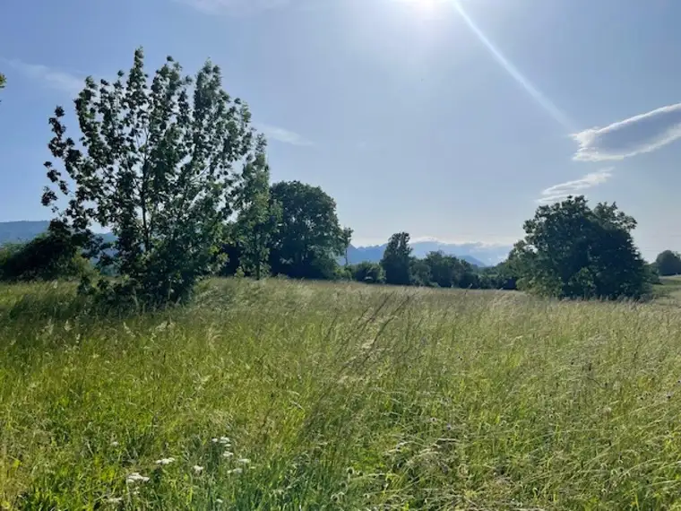 Großzügiges Grundstück im Rosental!