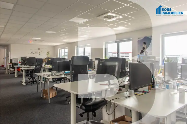 Businessfläche am TOP Standort - 240 m²