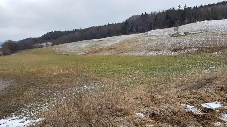 ruhig, sonnig, eben, zentral - sollte so nicht Ihr Baugrund sein?