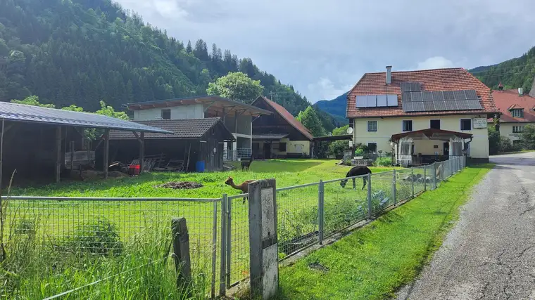 Hofgebäude mit Stallungen und Scheune im Metnitztal