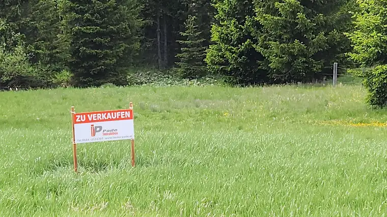 Wunderschönes Grundstück mit Bachlauf auf der Flattnitz