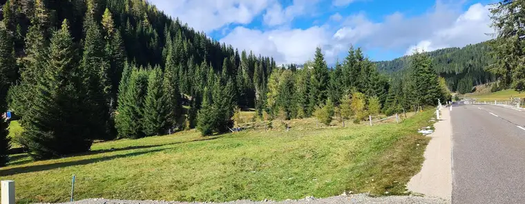 Wunderschönes Grundstück mit Bachlauf auf der Flattnitz