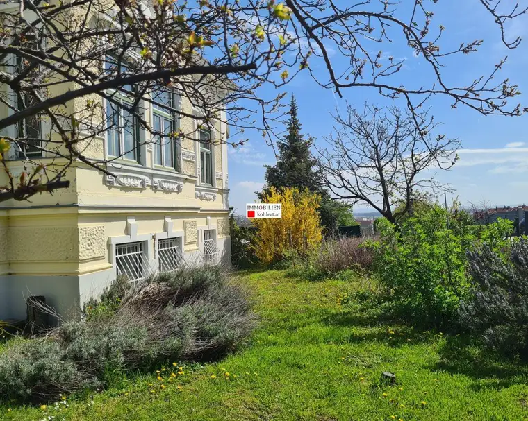 Haus zu kaufen