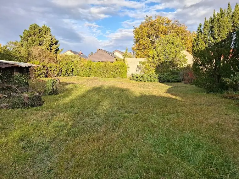 Felixdorf: Wunderschönes großes Baugrundstück mit älterem Wohnhaus und vielen Möglichkeiten