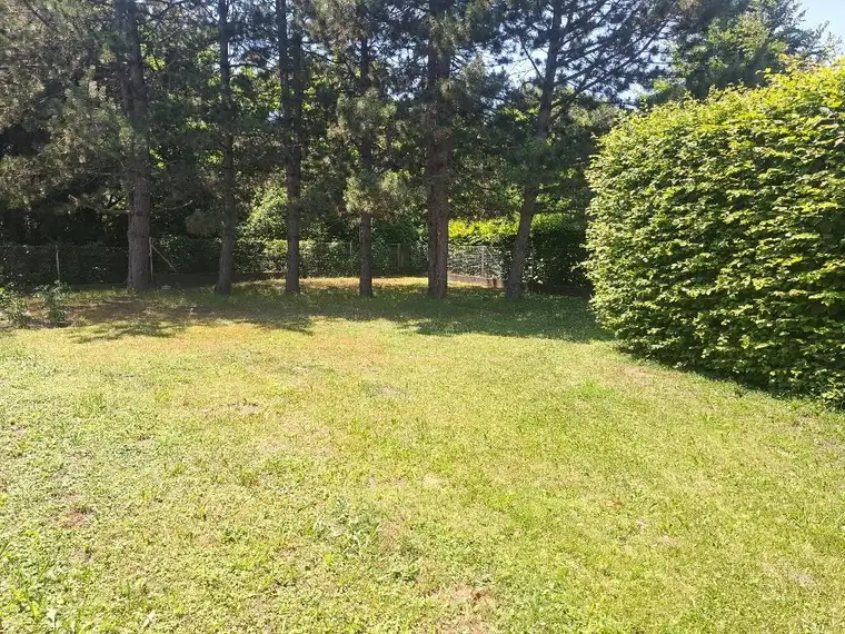 Bad Fischau: Wunderschönes Einfamilienhaus mit Keller, Wintergarten, Carport und tollem Garten in ruhiger Lage