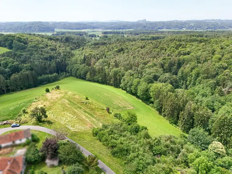 Große Streuobstwiese mit Riegersburgblick für Naturliebhaber