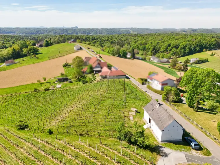 Traumhafte Liegenschaft mit Kellerstöckl und Blick auf die Riegersburg