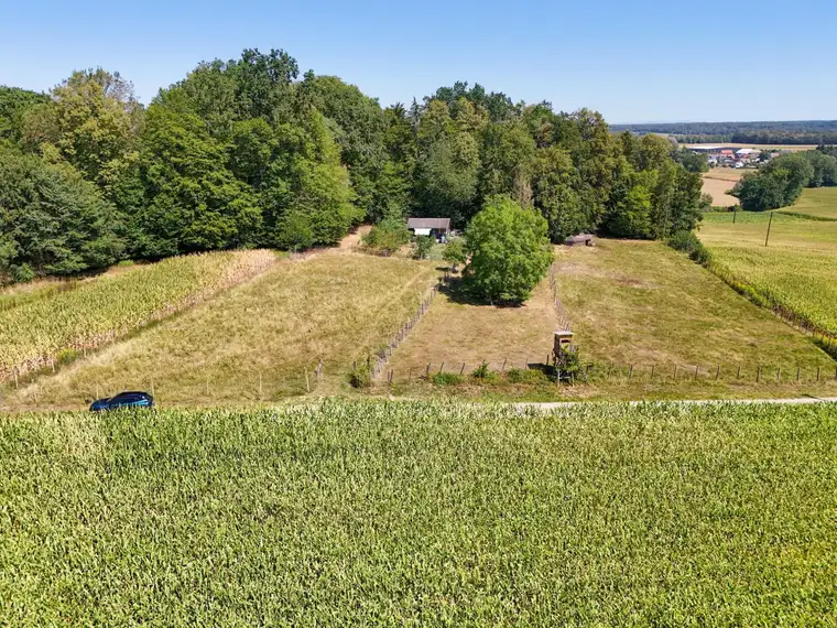 Nähe Großwilfersdorf: Idyllisches Freilandgrundstück mit Holzhäuschen und Unterstandhütte für Tierhaltung