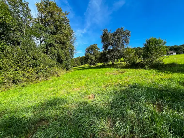 Land &amp; Gut: Kleinod in End-, Ruhe- &amp; Südhang-Lage im Kremstal!