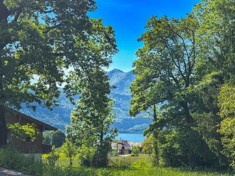 St. Wolfgang: Grundstück am Waldrand mit Seeblick!