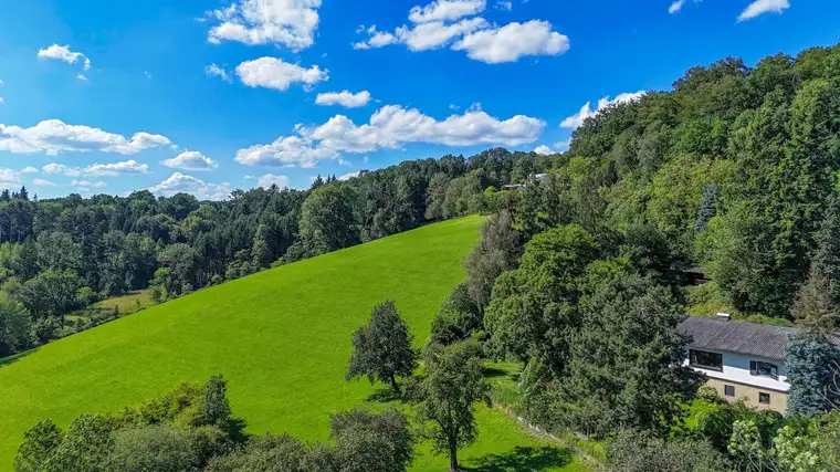 Baugrundstück mit ca. 4000 m² - Wald- &amp; Alpenblick in gefühlter Alleinlage.