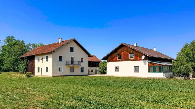 Land &amp; Gut: Solide Hofstelle in arrondierter Endlage