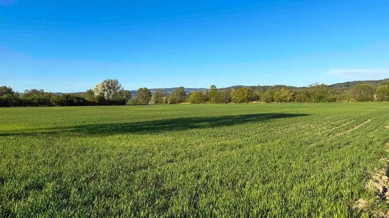 Land &amp; Gut: 4 ha Feld in Wilhering