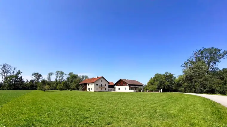 Land &amp; Gut: Solide Hofstelle mit arrondierten Flächen in Endlage