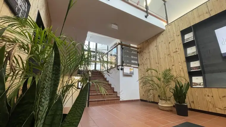 Ria Real Immobilien GmbH