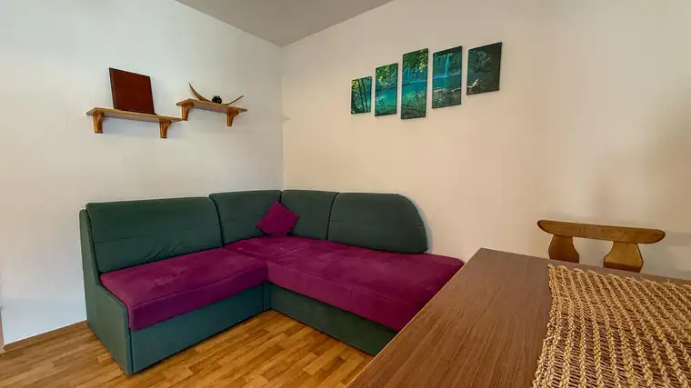 Wohnen mit Weitblick – 2-Zimmer-Balkonwohnung in Kleinarl mit traumhaftem Bergpanorama - Ski amadé