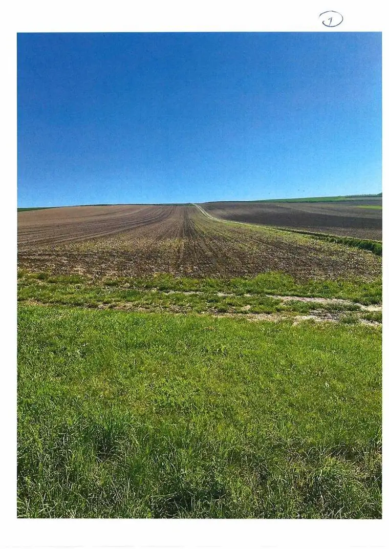 Acker in Bruderndorf