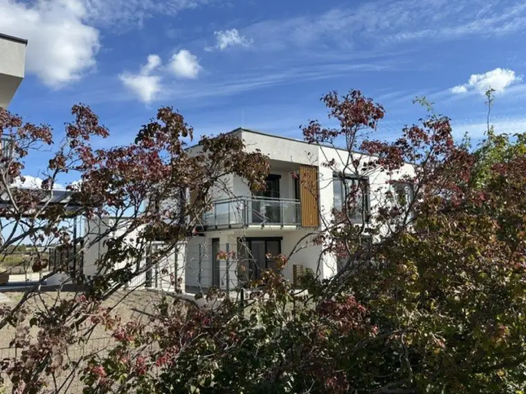 Gumpoldskirchen, Erstbezug