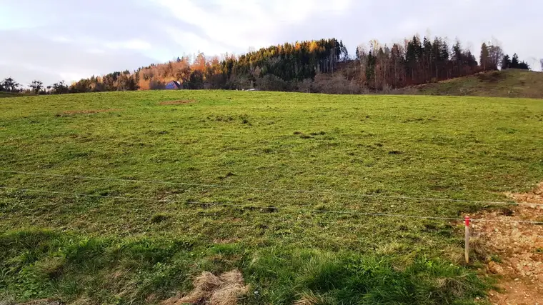 Inmitten einer grünen Oase! Aussichtsreiches Baugrundstück in ruhiger Dorfrandlage